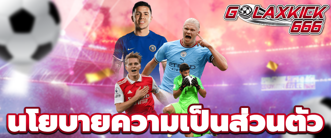 นโยบายความเป็นส่วนตัว